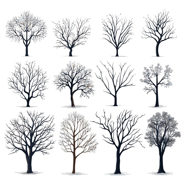 Vector collection of winter tree