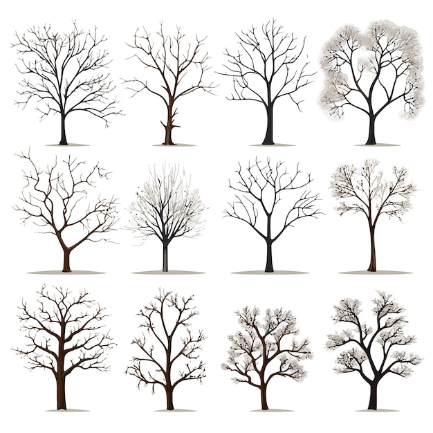 Vector vector collection of winter tree