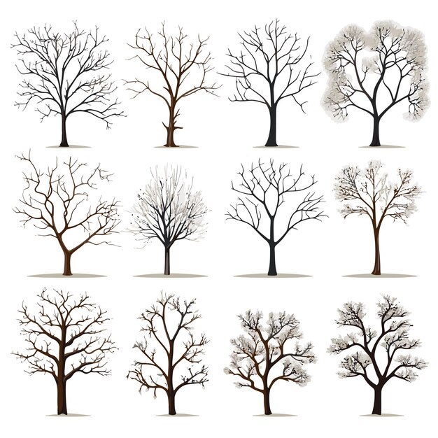 Vector vector collection of winter tree