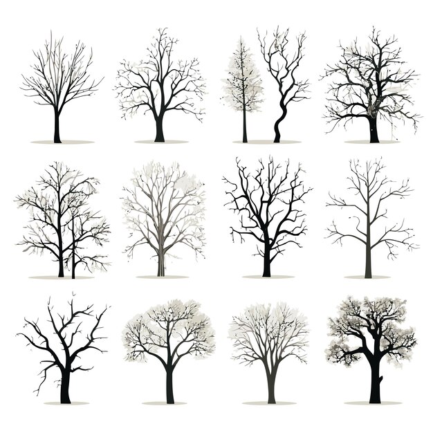 Vector collection of winter tree