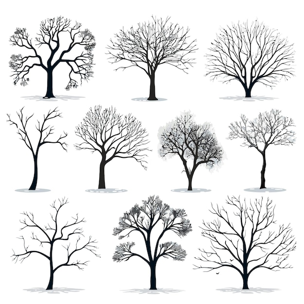 Vector collection of winter tree