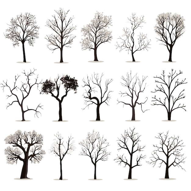 冬の木のベクトルコレクション