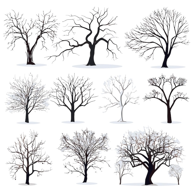 Vector collection of winter tree