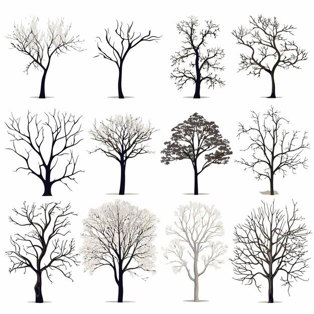 Vector vector collection of winter tree