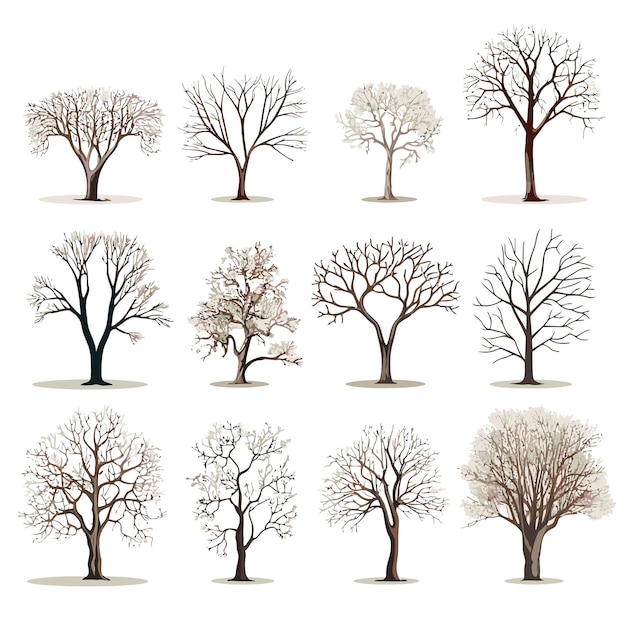 Коллекция векторов зимнего дерева