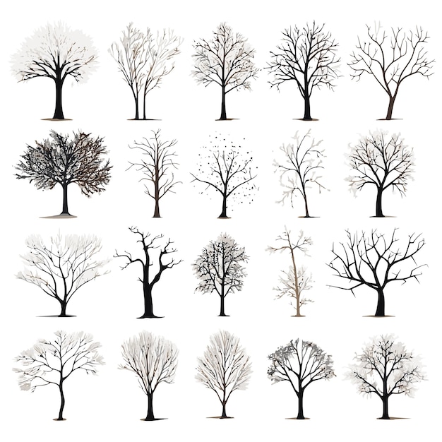 Коллекция векторов зимнего дерева
