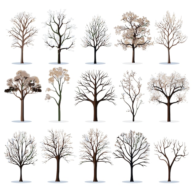 Vector collection of winter tree