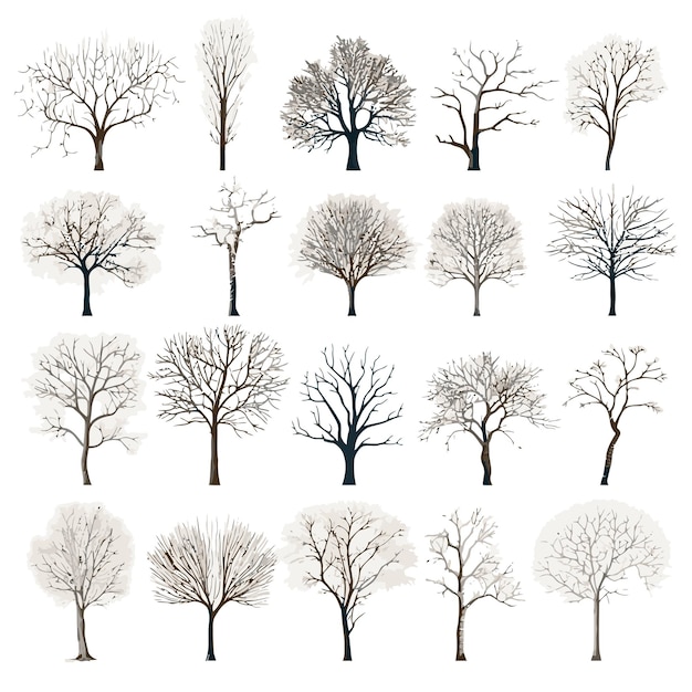 Vector collection of winter tree