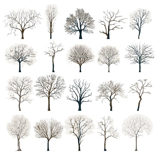 Vector collection of winter tree