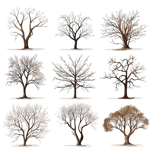 Vector collection of winter tree