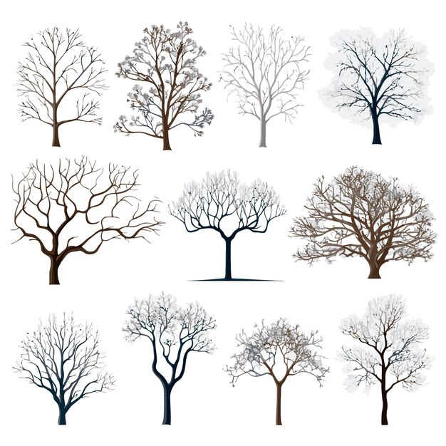 Vector collection of winter tree