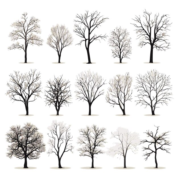 Vector collection of winter tree