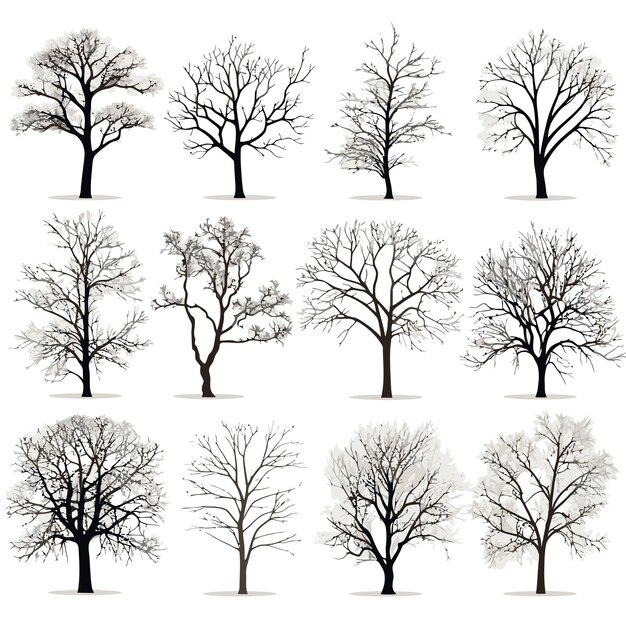 冬の木のベクトルコレクション