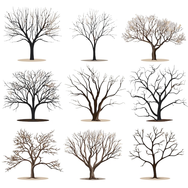 Vector vector collection of winter tree