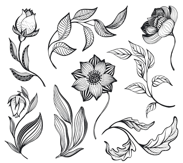 Vector collection with hand drawn doodle flowers and leaves