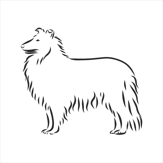 Vector of collie dog design on white background. Laser cutting template. Stencil. Dog silhouette.