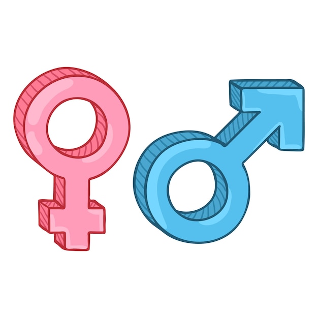 Vector color cartoon gender symbols blue male and pink female signs