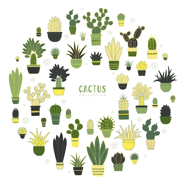 Vector colorful cactus collection Plants in decorative pots isolated on white background