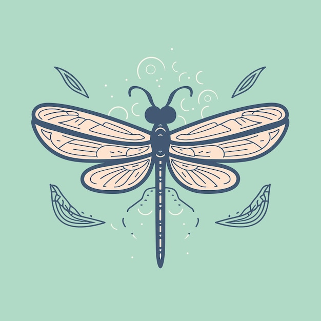 Vector vector of a colorful dragonfly drawing on a vibrant blue background