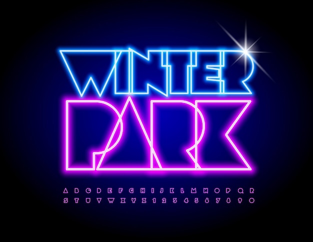 Vector colorful neon banner winter park  bright glowing font unique alphabet letters and numbers