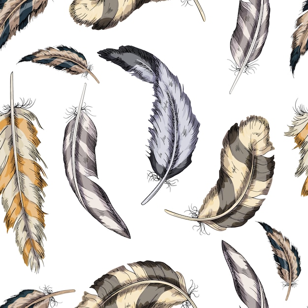 Vector colorful seamless pattern feathers bird