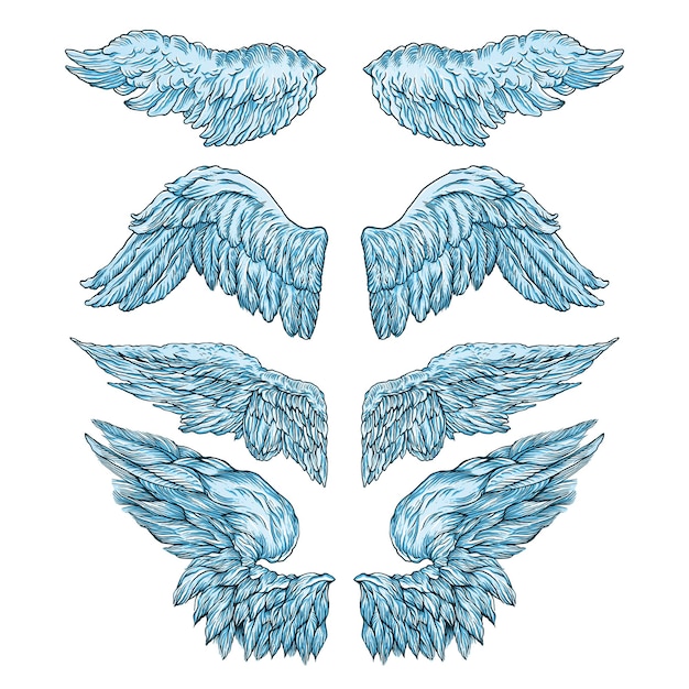 Vector colorful set of hand drawed engraved vintage wings