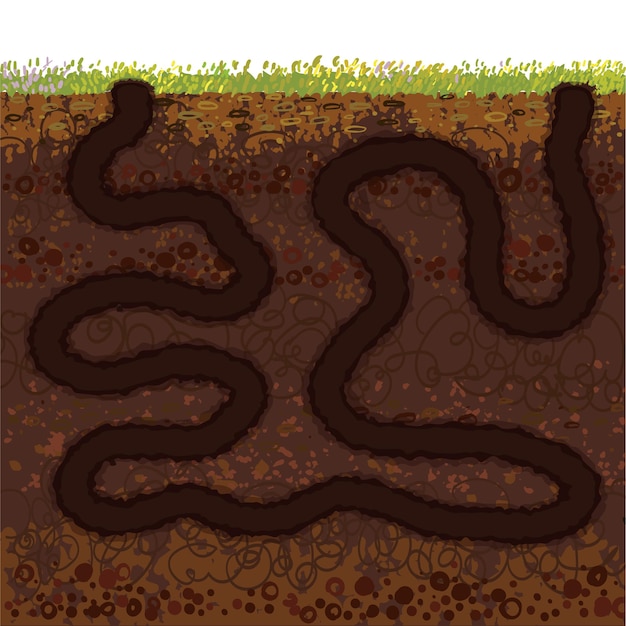 Vector Colorful Textured Illustration of Underground Tunnel