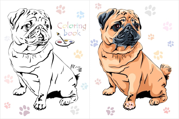 Vector vector coloring book page 4 cute dog pug breed apricot fawn color