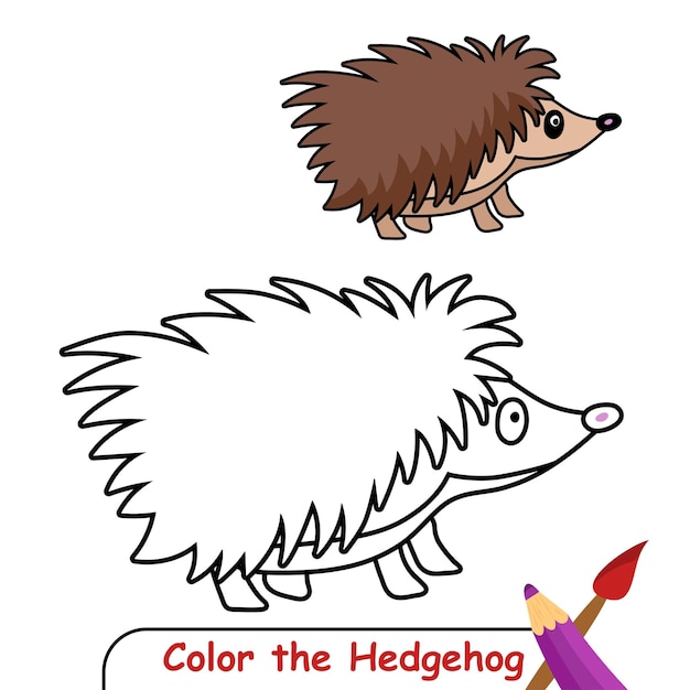 Vector coloring page for kids Hedgehog vector graphics