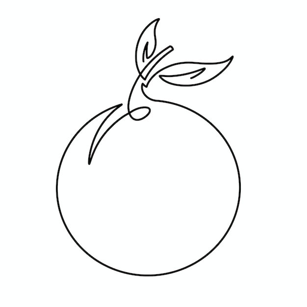 Vector continuous one line orange fruit illustration