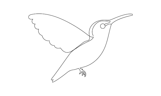 Vector continuous one simple abstract line drawing of humming bird isolated on a white background