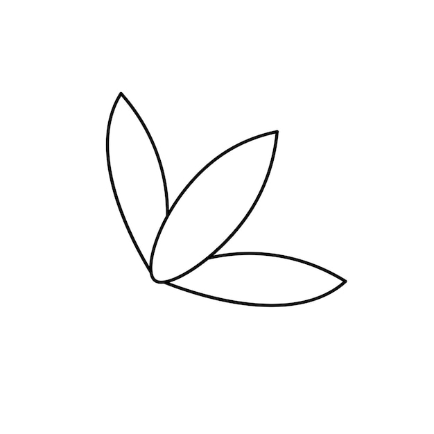 Векторный контур черно-белый рисунок из трех листьев