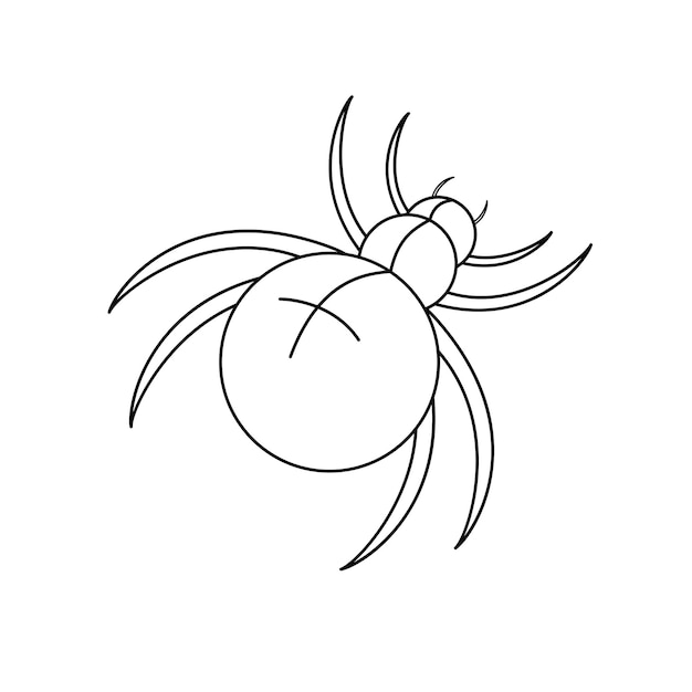 Vector Contour zwart-wit tekening van een spin