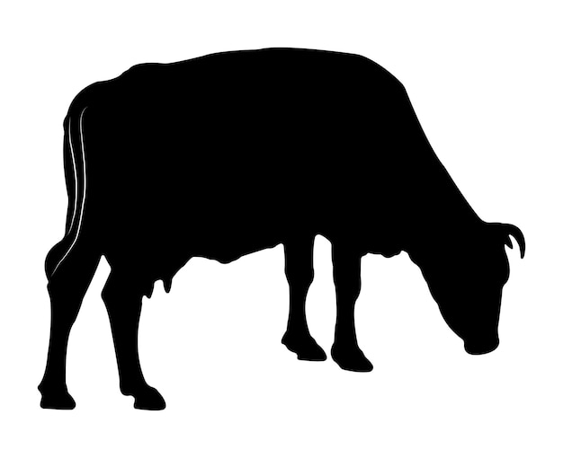 Vector cow silhouette isolated on white background