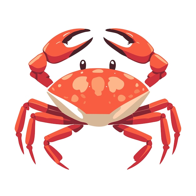 Vector vector crab