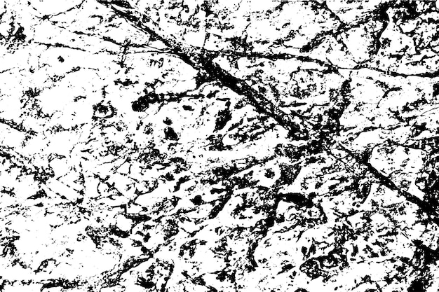 Vector the cracks rock texture white and black Grunge abstract background