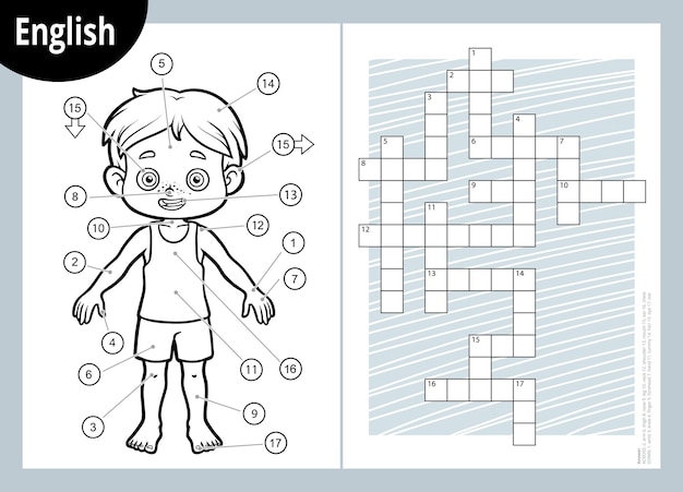 Vector crossword in english education game for children about the human body my body parts for a boy