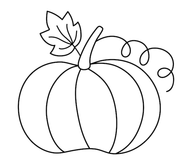 Vector cute black and white pumpkin Autumn vegetable Outline squash Funny veggie harvest line illustration Traditional thanksgiving food or Halloween symbolxA