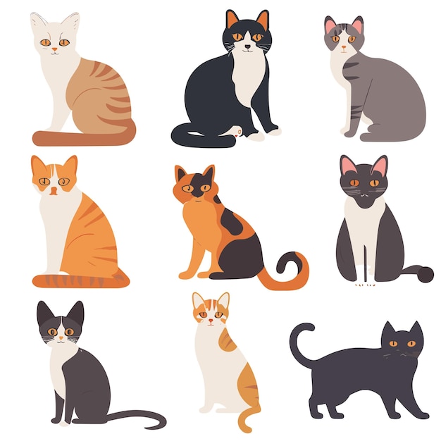 Vector vector cute cat cartoon characters illustrations set isolated on background