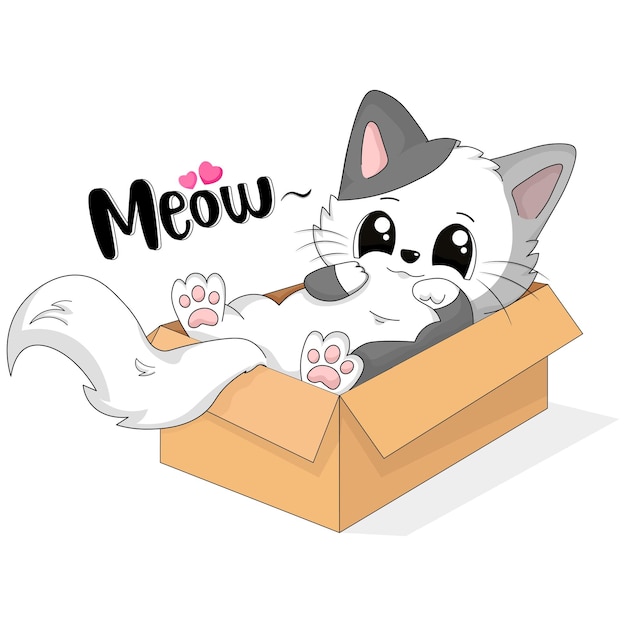 Vector Cute chubby cat in Cardboard surprise