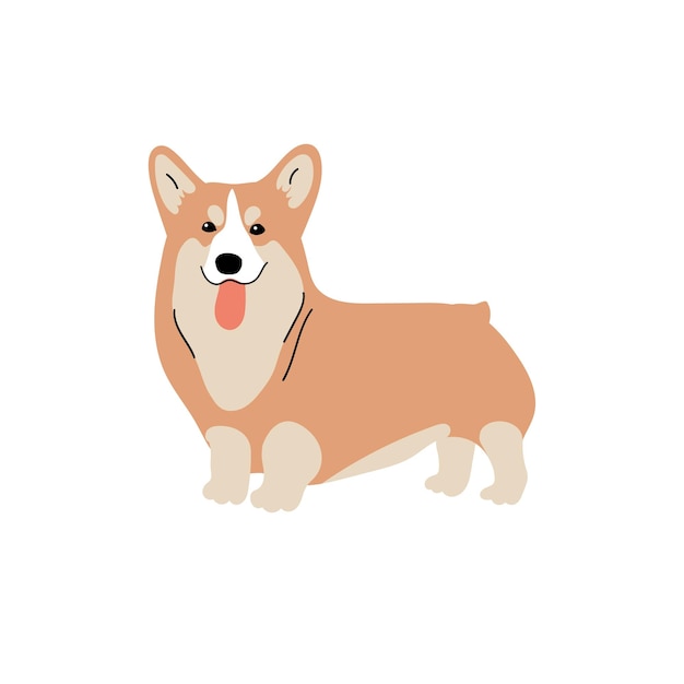 Vettore vector cute corgi razze di cani doodle illustrazione isolata su sfondo bianco