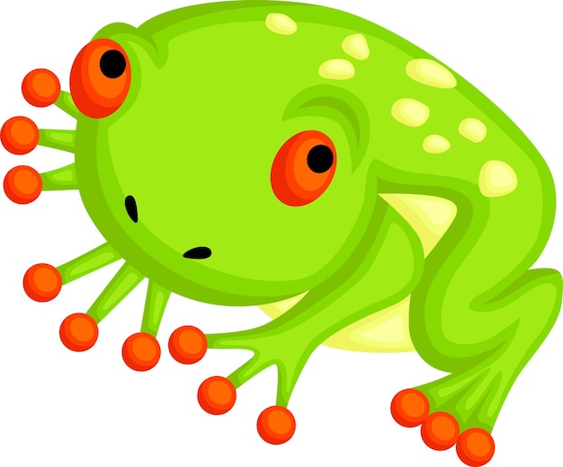 a vector of a cute frog