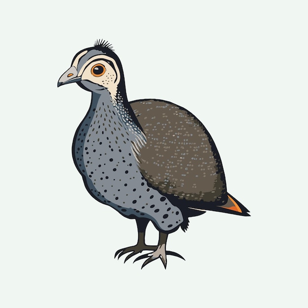 Vector vector cute guinea fowl cartoon style