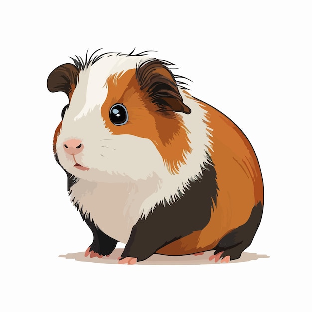 Vector vector cute guinea pig cartoon style