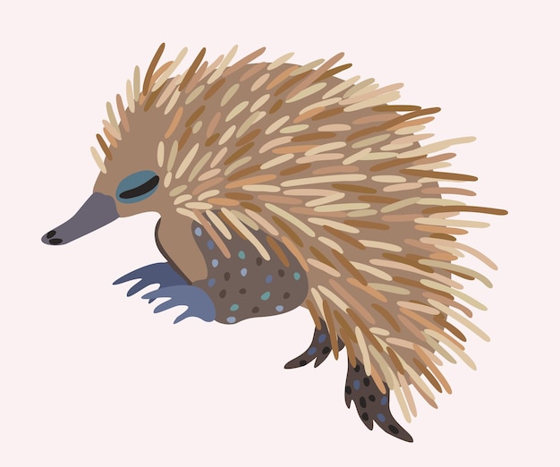 Vector vector cute illustration of echidna isolated on light background