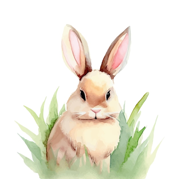 Vector cute little bunny in the grass with a watercolor illustration