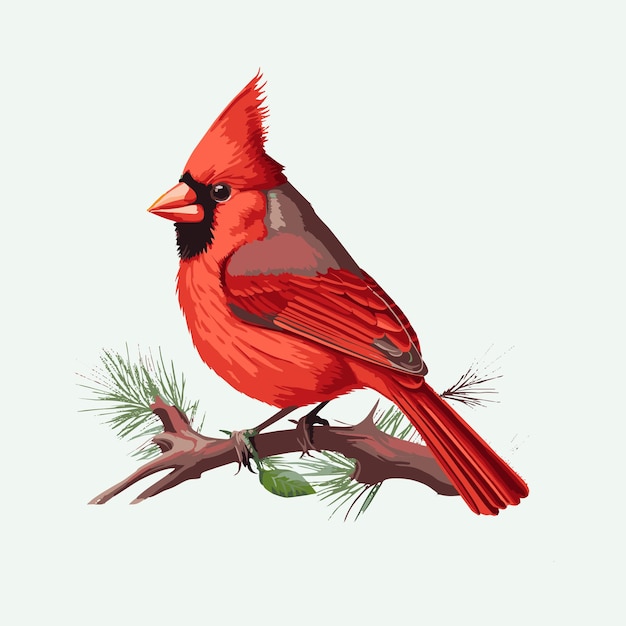 вектор милый северный кардинал птица мультяшном стиле