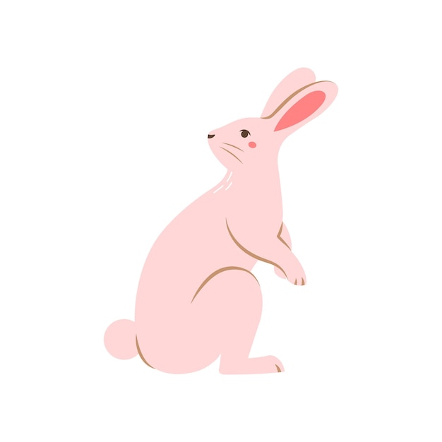 Vector cute rabbit Flat illustration