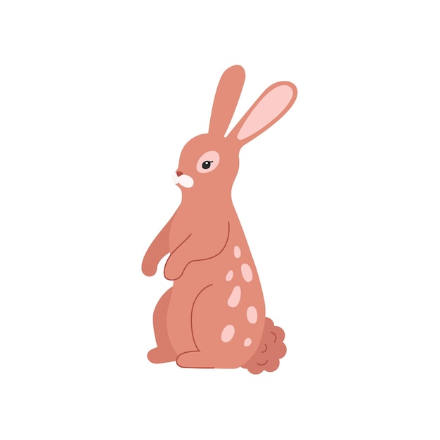 Vector cute rabbit