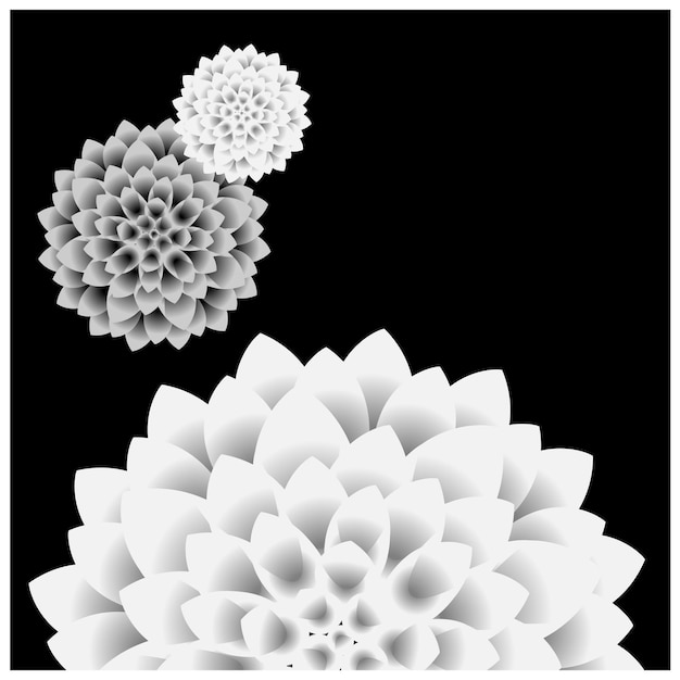 vector dahlia bloem zwart en wit